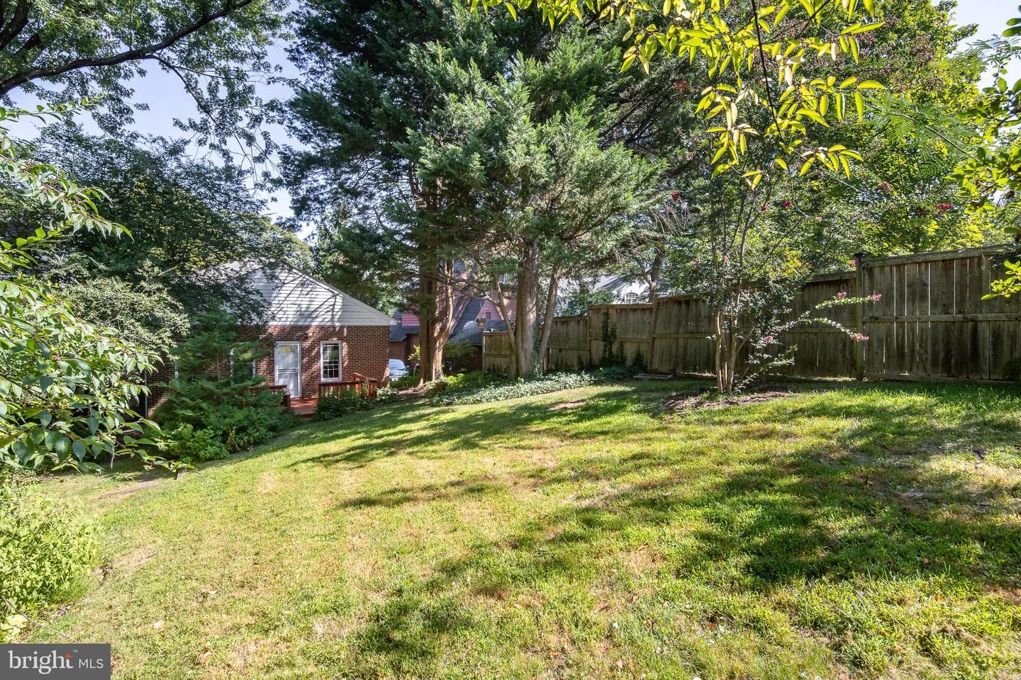 3500 Shepherd Street photo 51