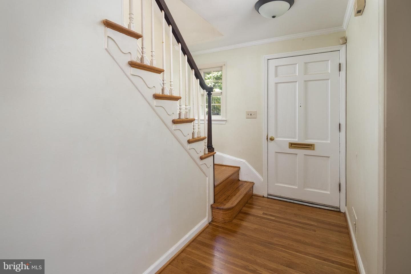 3500 Shepherd Street photo 6