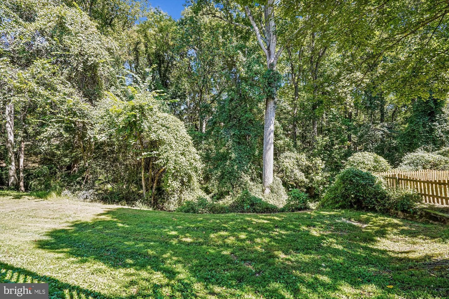 7919 Lakenheath Way photo 48