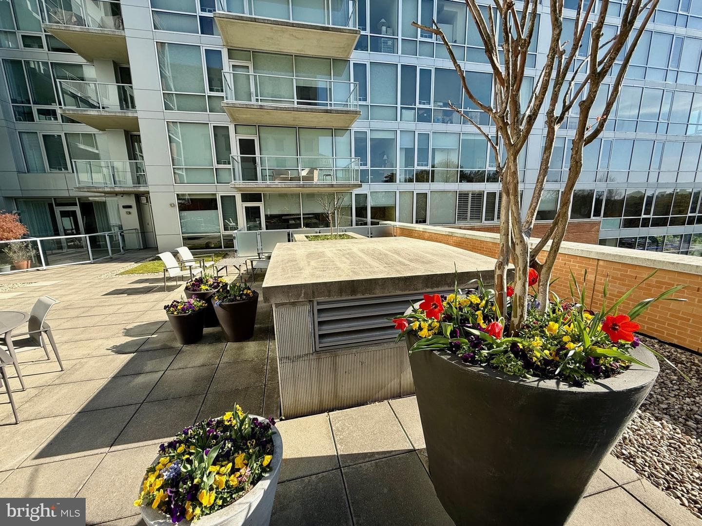 6820 Wisconsin Avenue #2009 photo 15