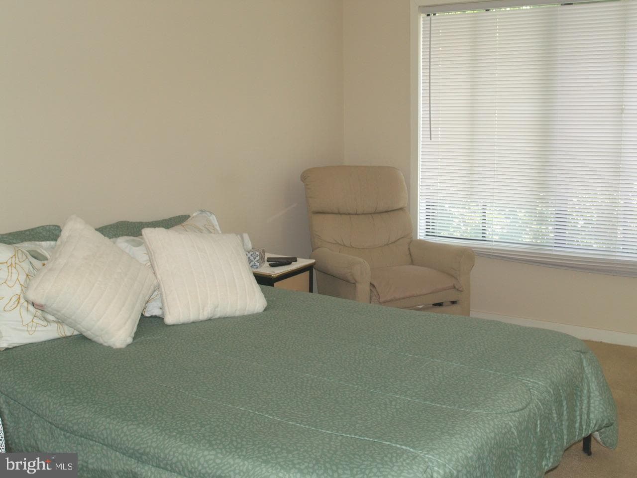 8 Copps Hill Court photo 13