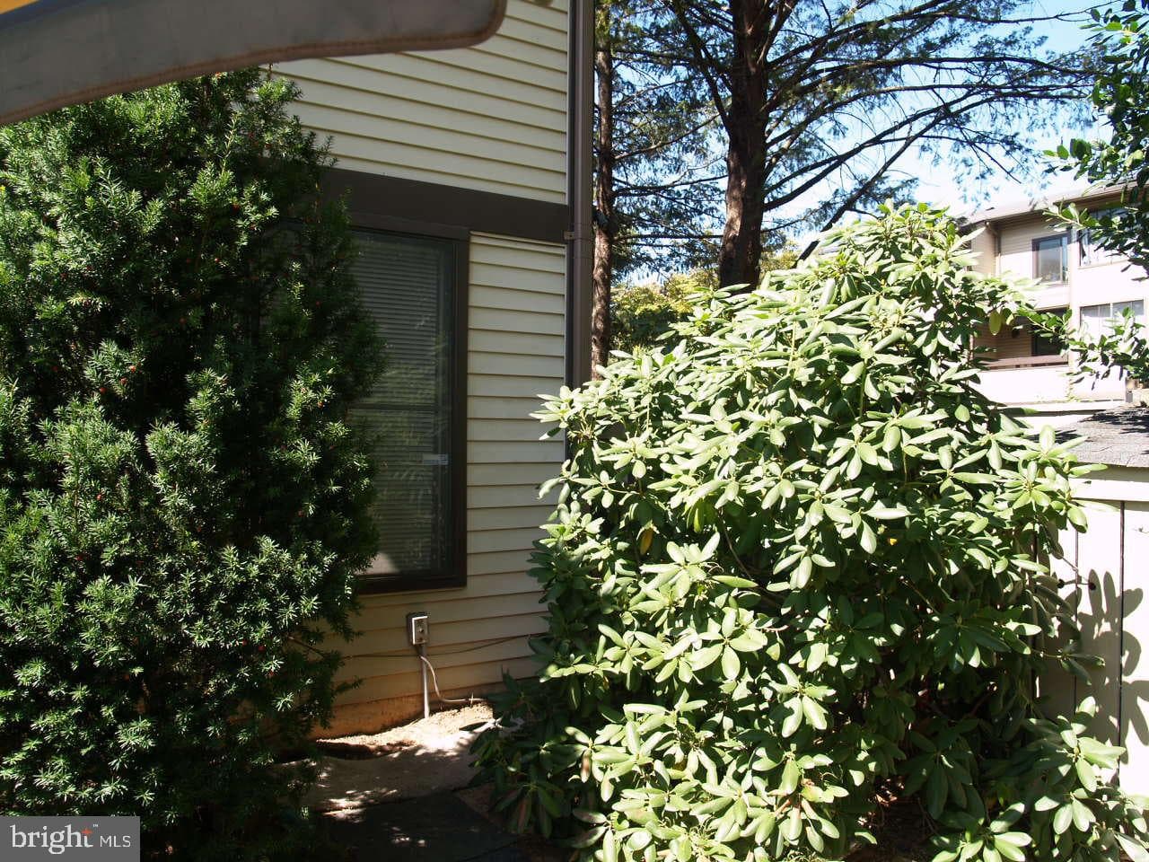8 Copps Hill Court photo 6