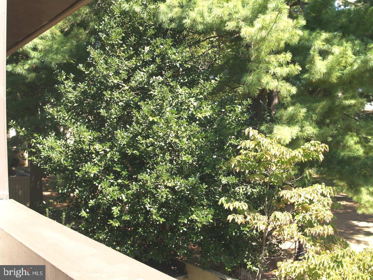8 Copps Hill Court photo 7
