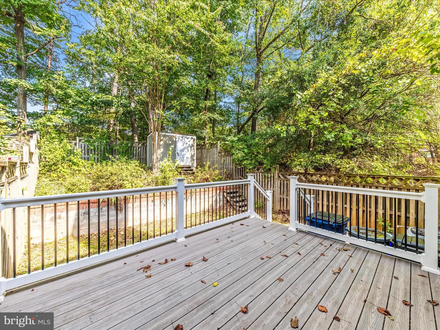 314 Crescendo Way photo 51