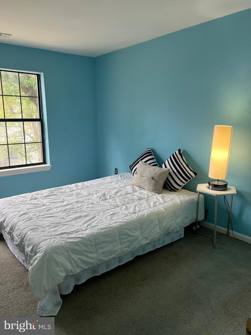 1603 Carriage House Terrace #1603-B photo 10