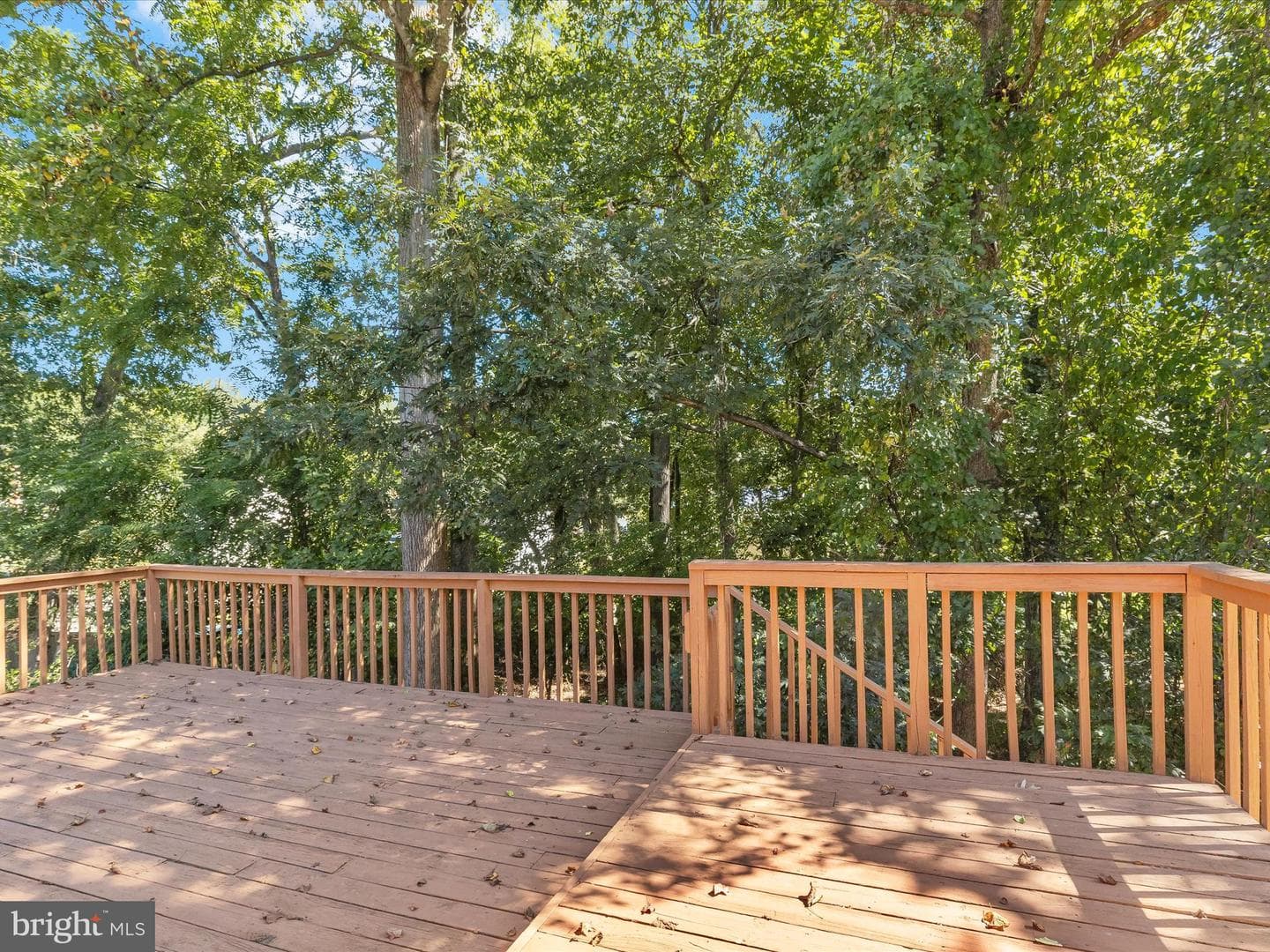 14709 Harvest Lane photo 49