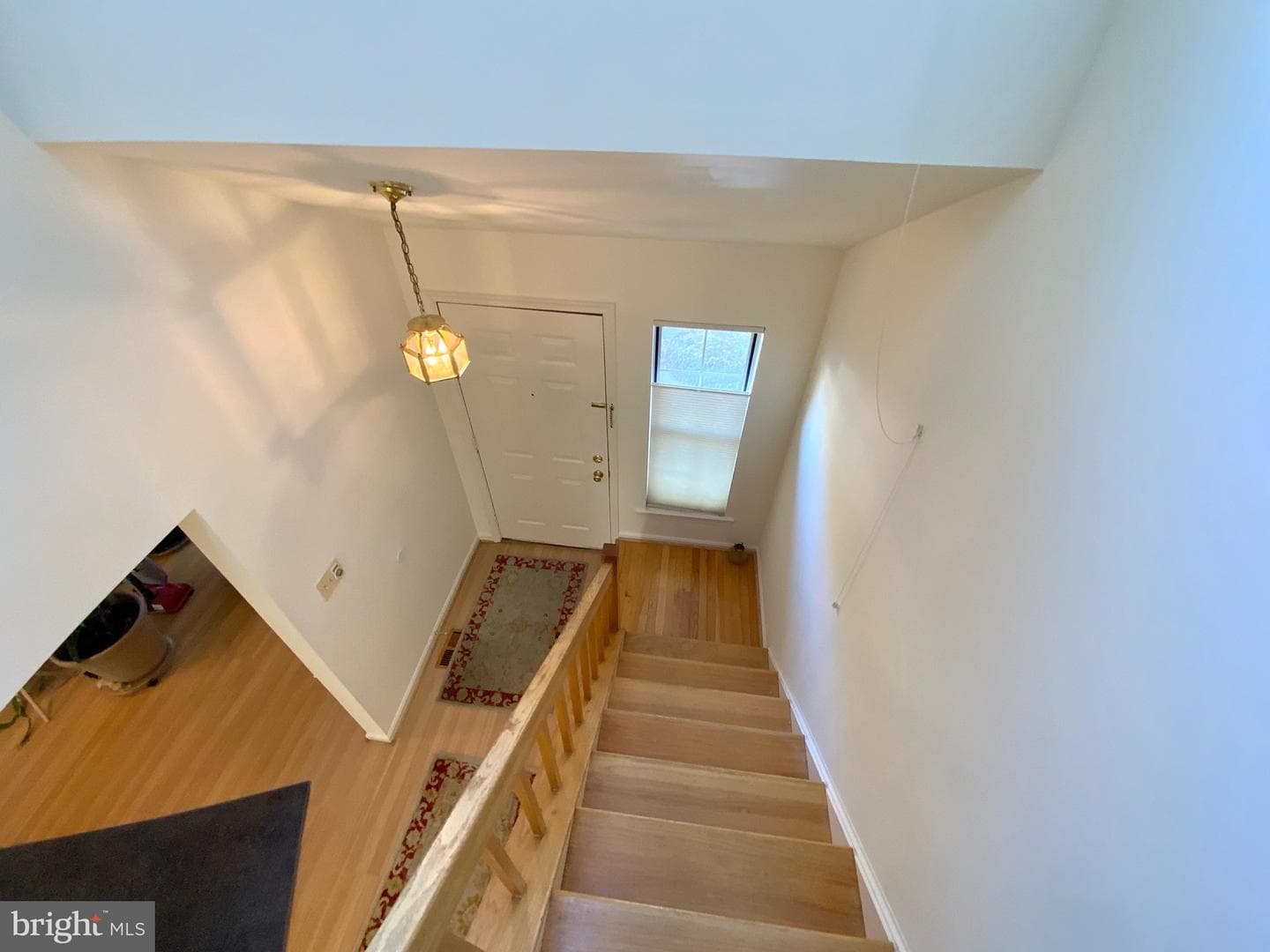 1519 Ingram Terrace photo 7