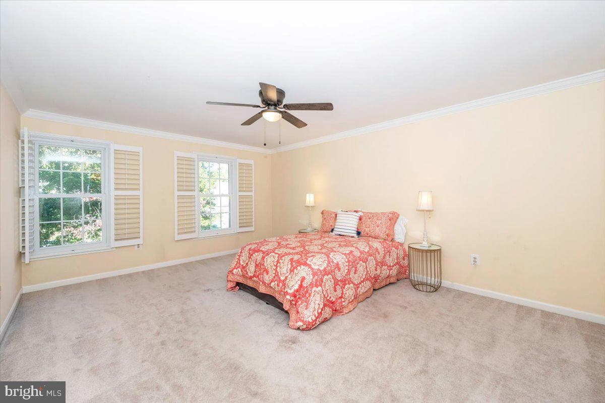 10 Megans Court photo 20