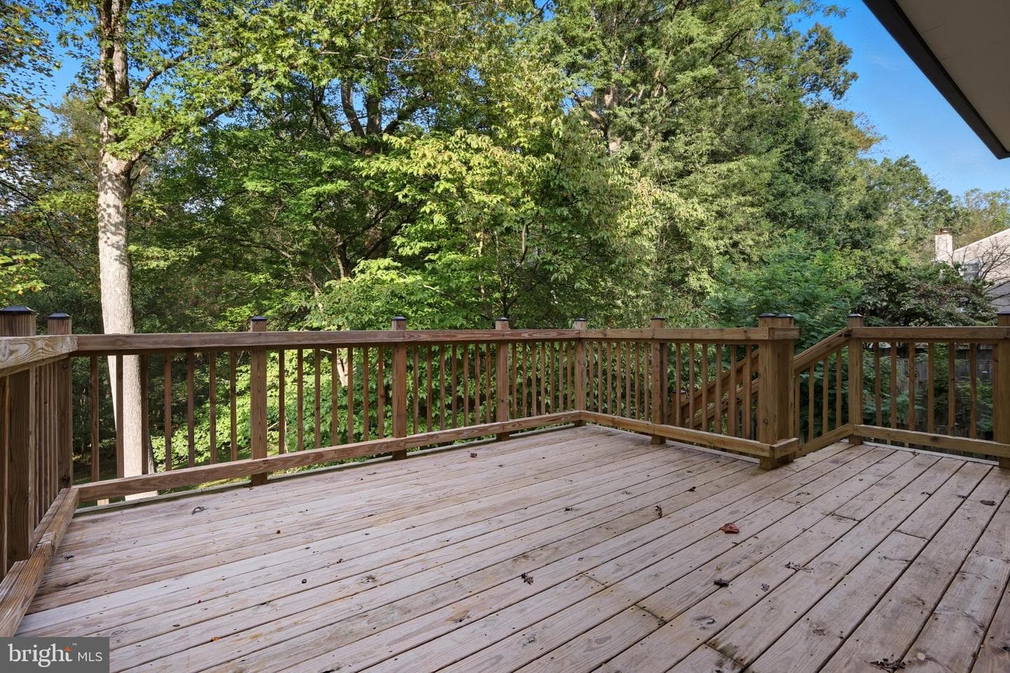 11553 Summer Oak Drive photo 15