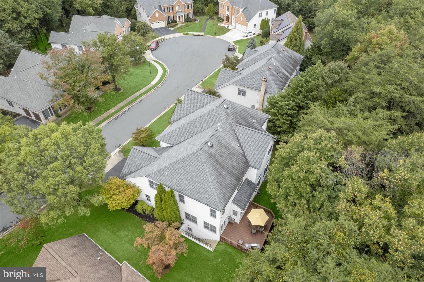 14039 Weeping Cherry Drive photo 5