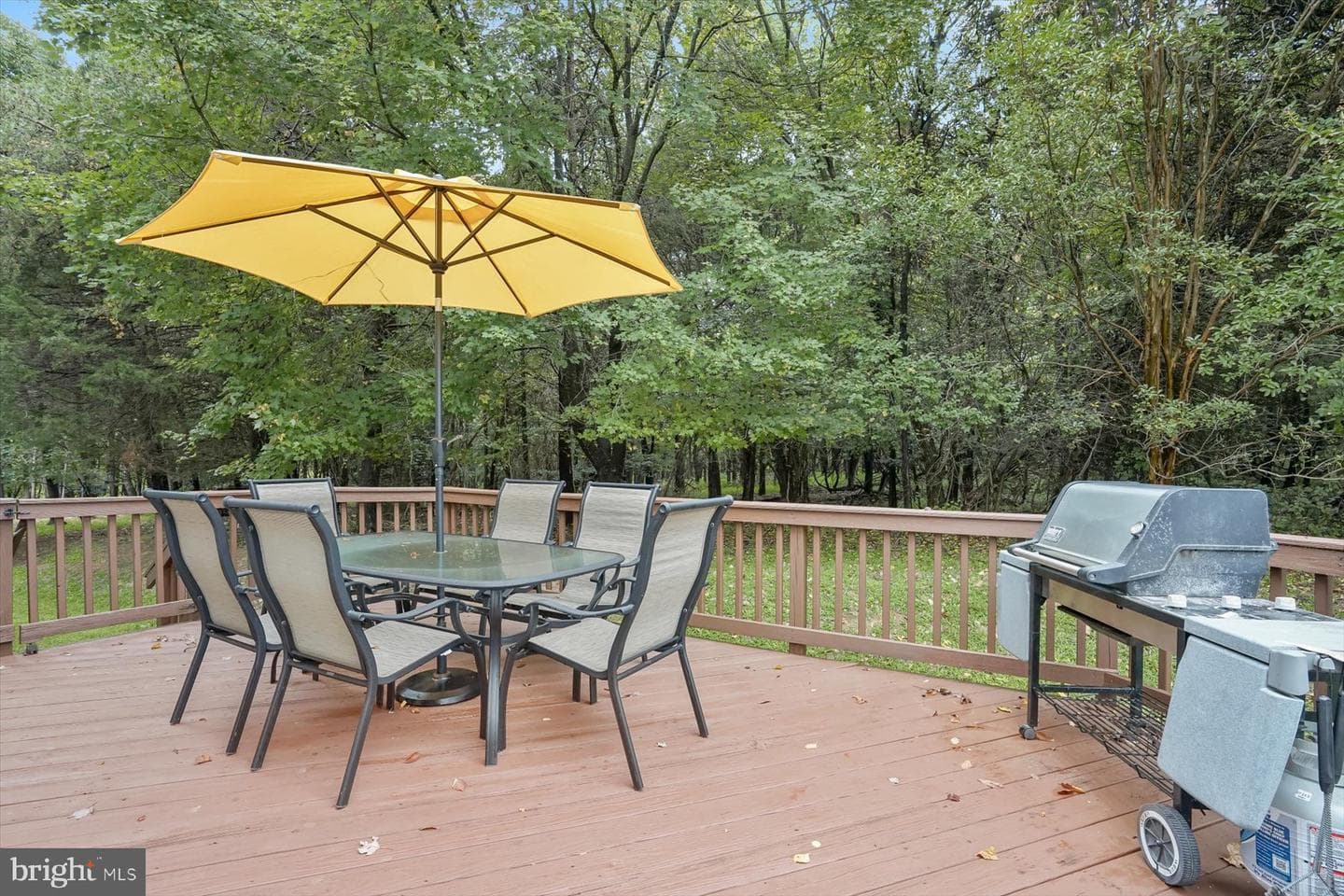 14039 Weeping Cherry Drive photo 70