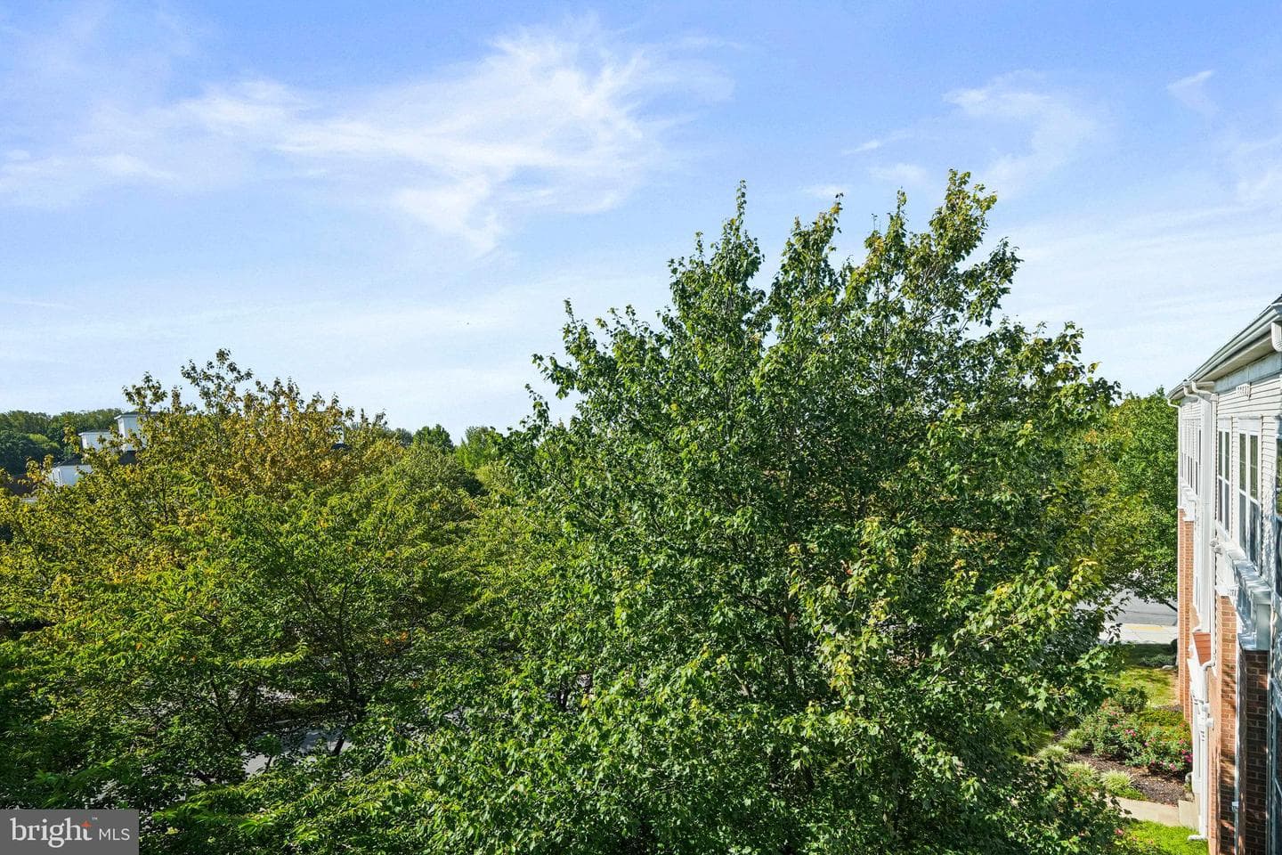 101 Watkins Pond Boulevard #4-306 photo 14
