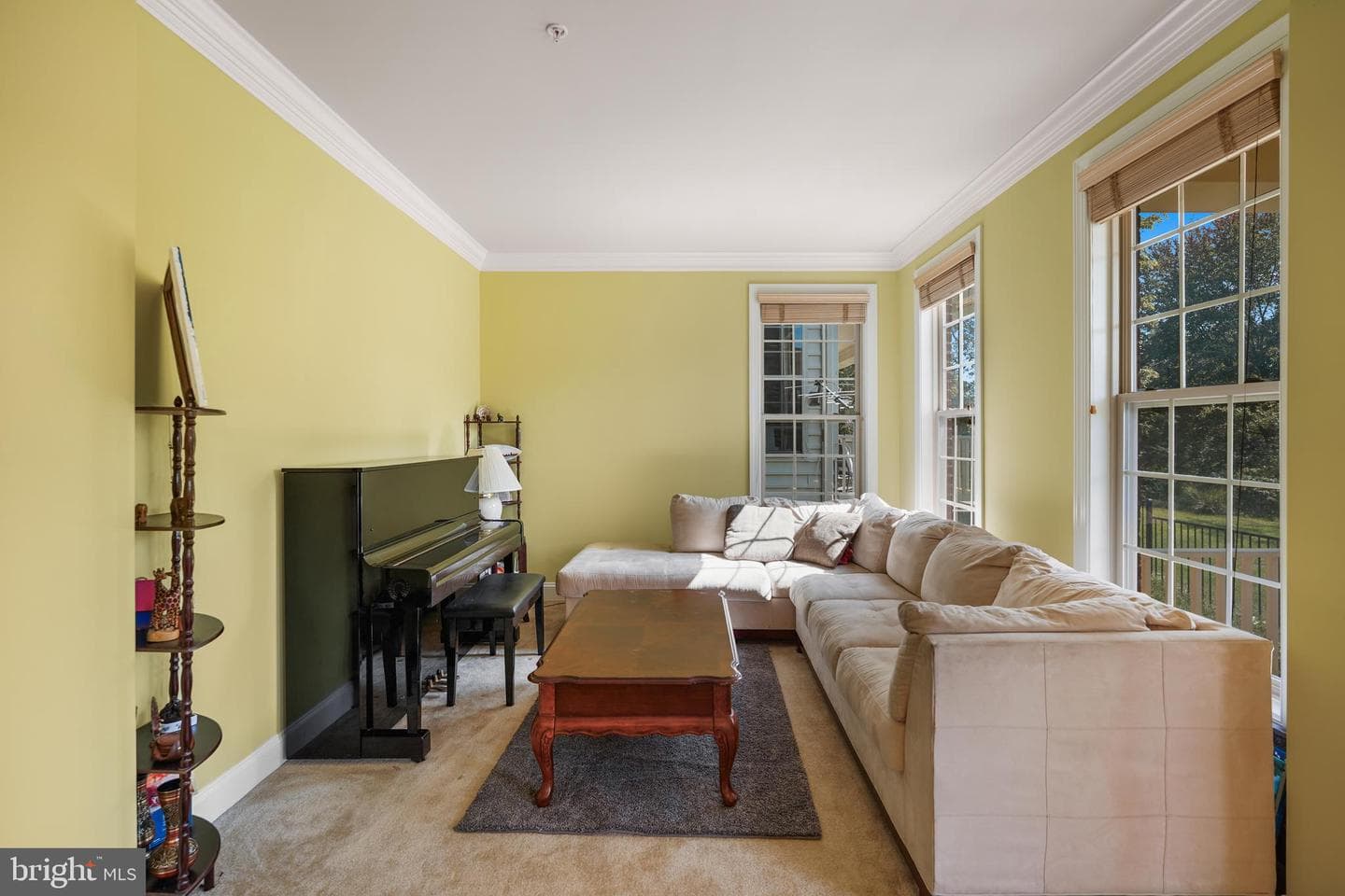 23105 Roberts Tavern Drive photo 4