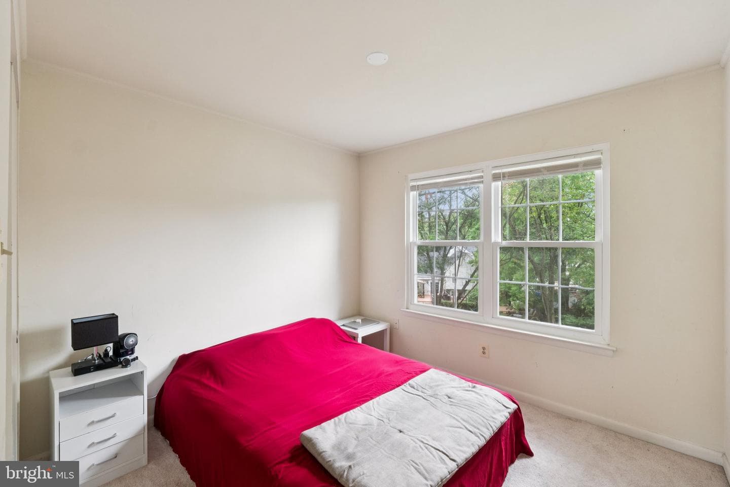 18559 Cape Jasmine Way photo 23