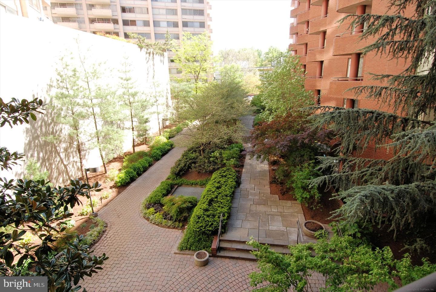 4550 N Park Avenue N #208 photo 52