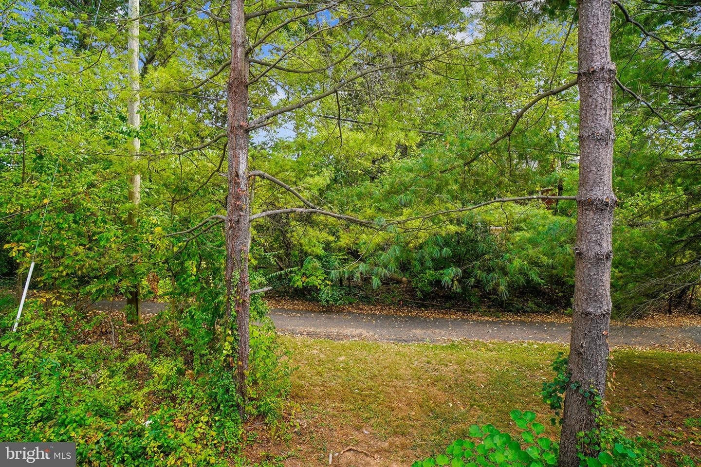 18835 Harmony Woods Lane photo 44