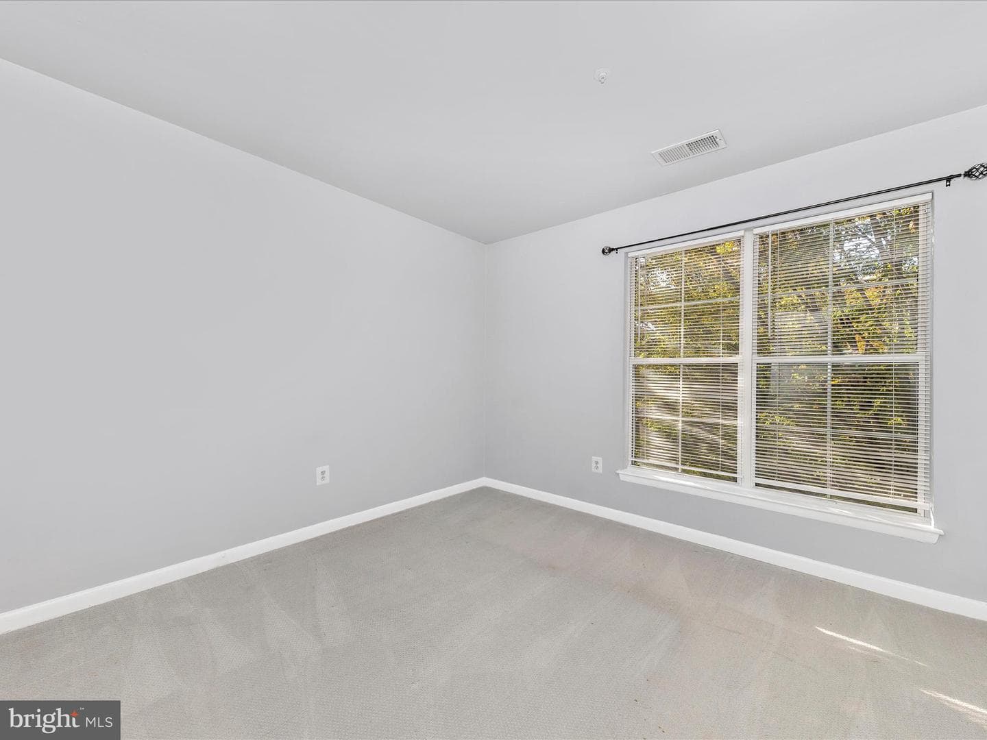 18138 Royal Bonnet Circle photo 20