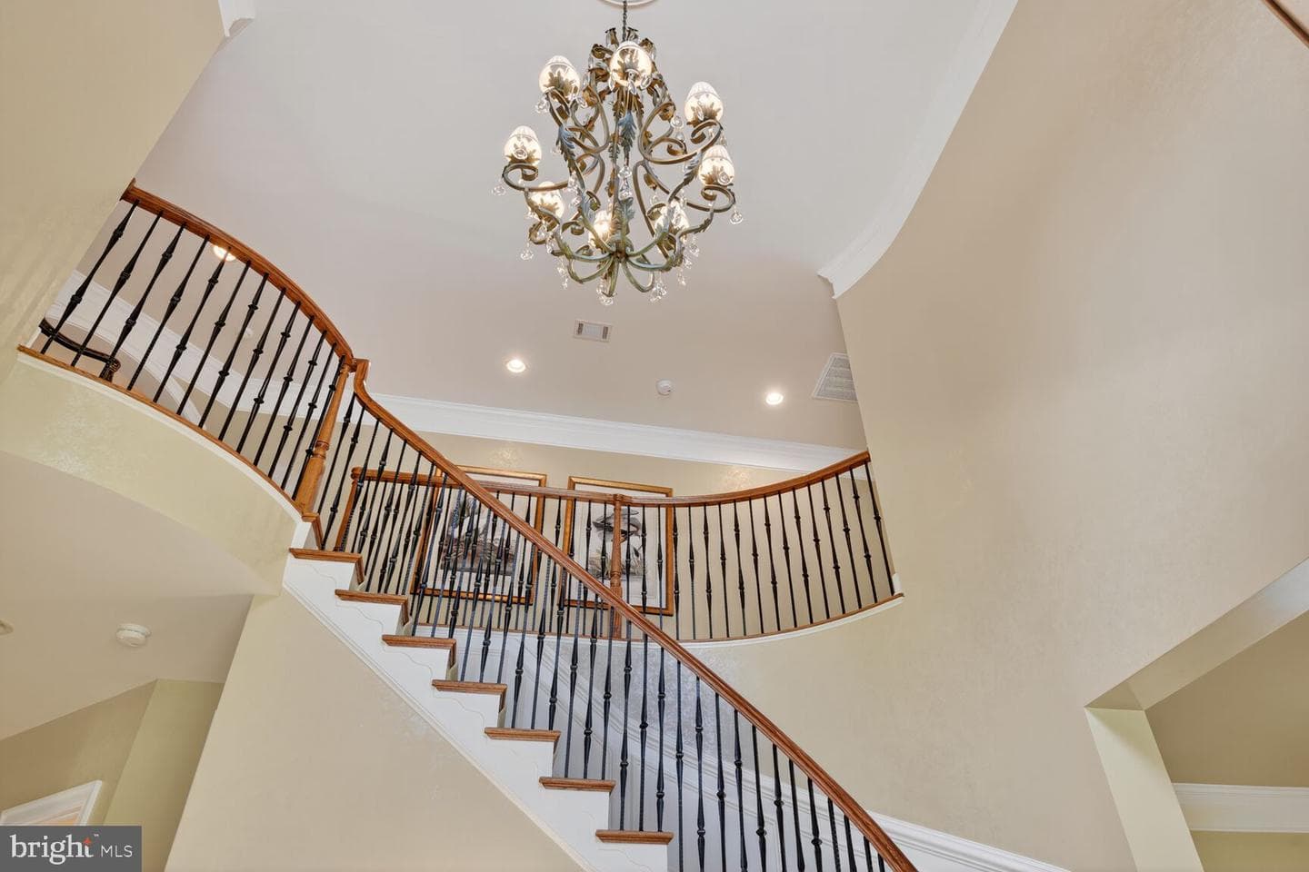 17512 Ashton Forest Terrace photo 9
