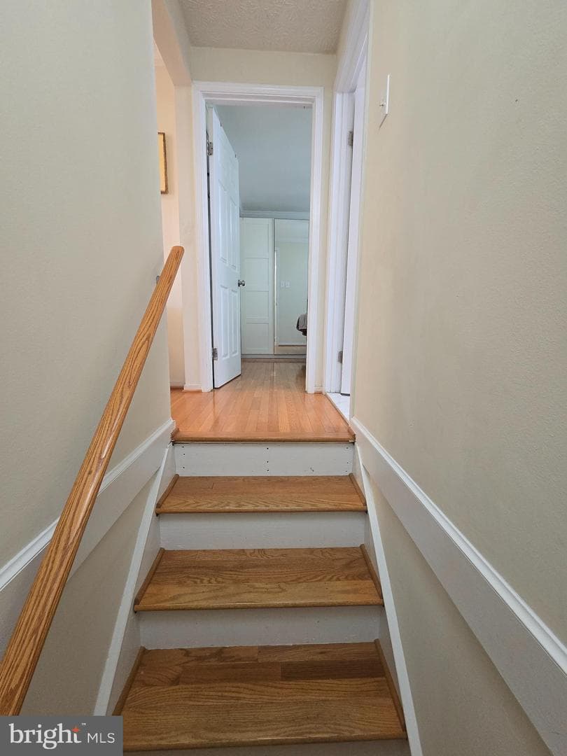7456 Brenish Drive photo 13