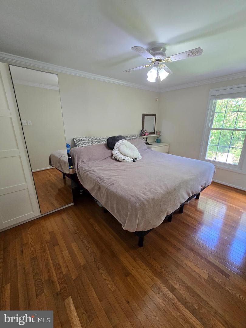 7456 Brenish Drive photo 29