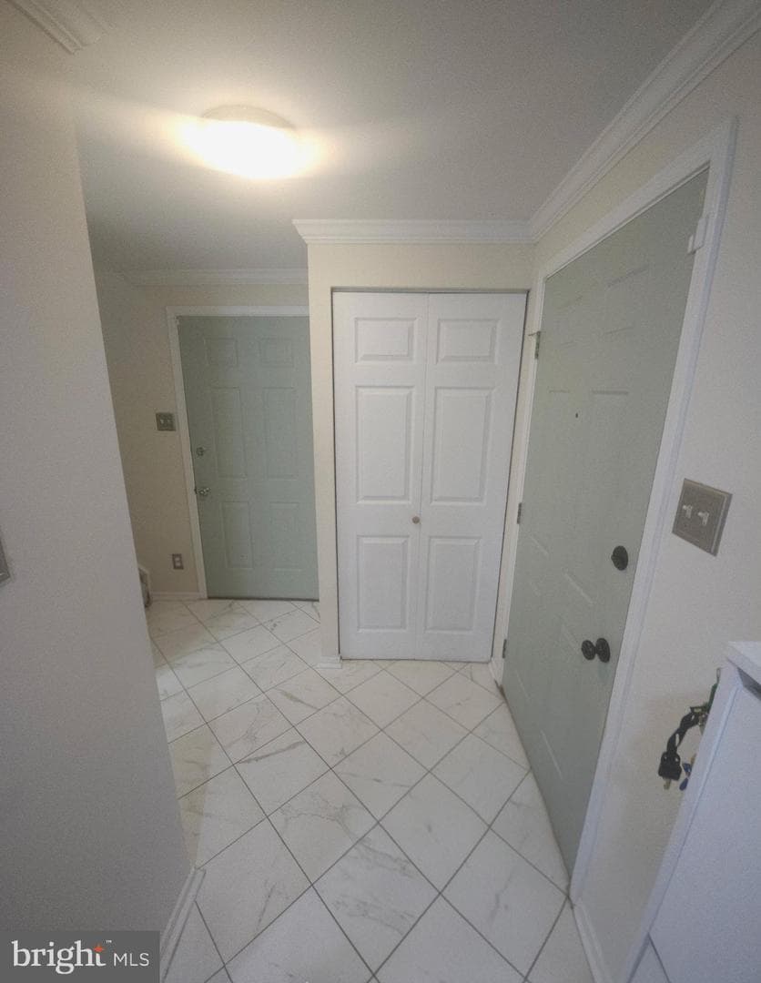 7456 Brenish Drive photo 4