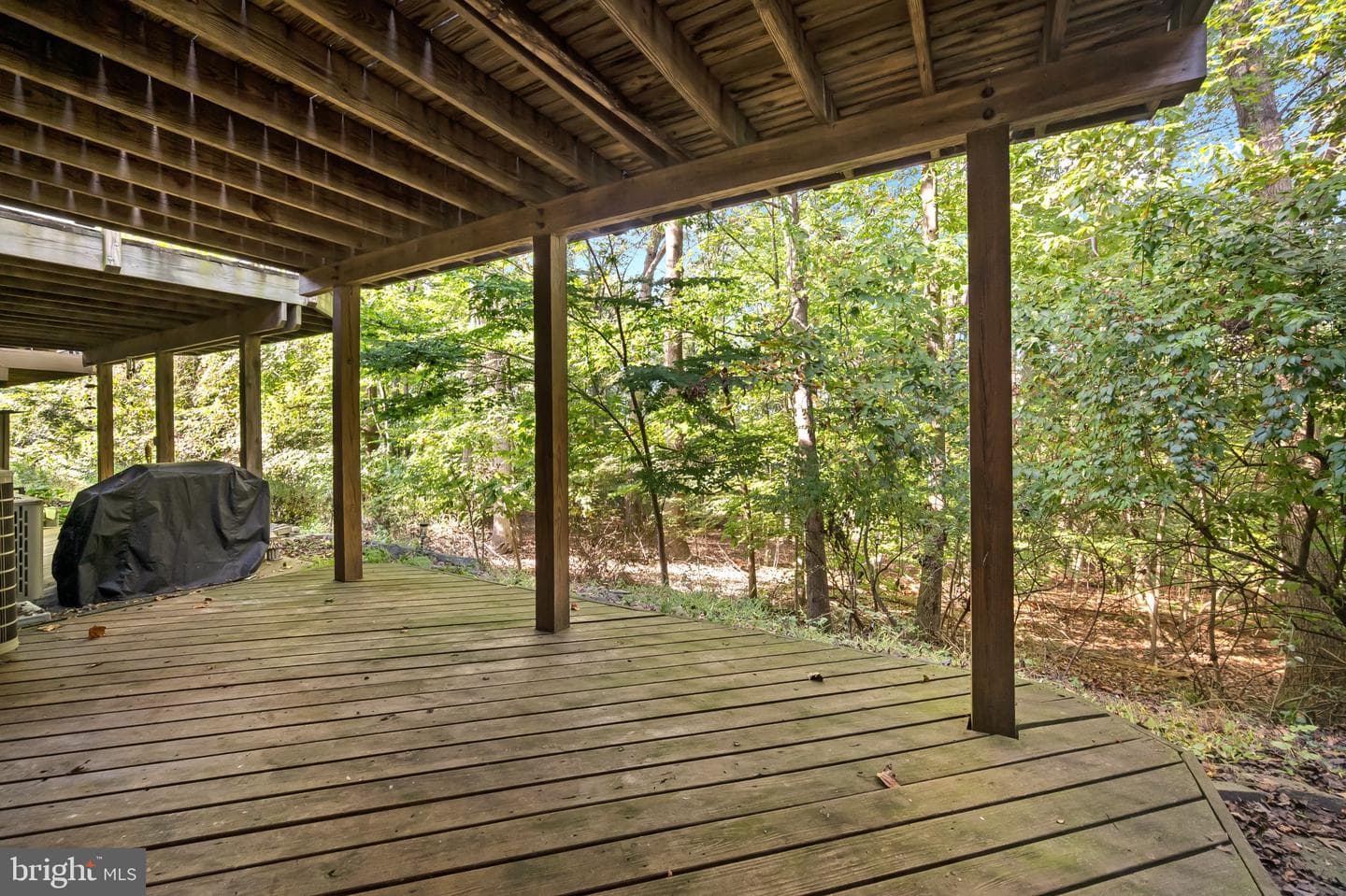 14353 Long Channel Drive photo 10