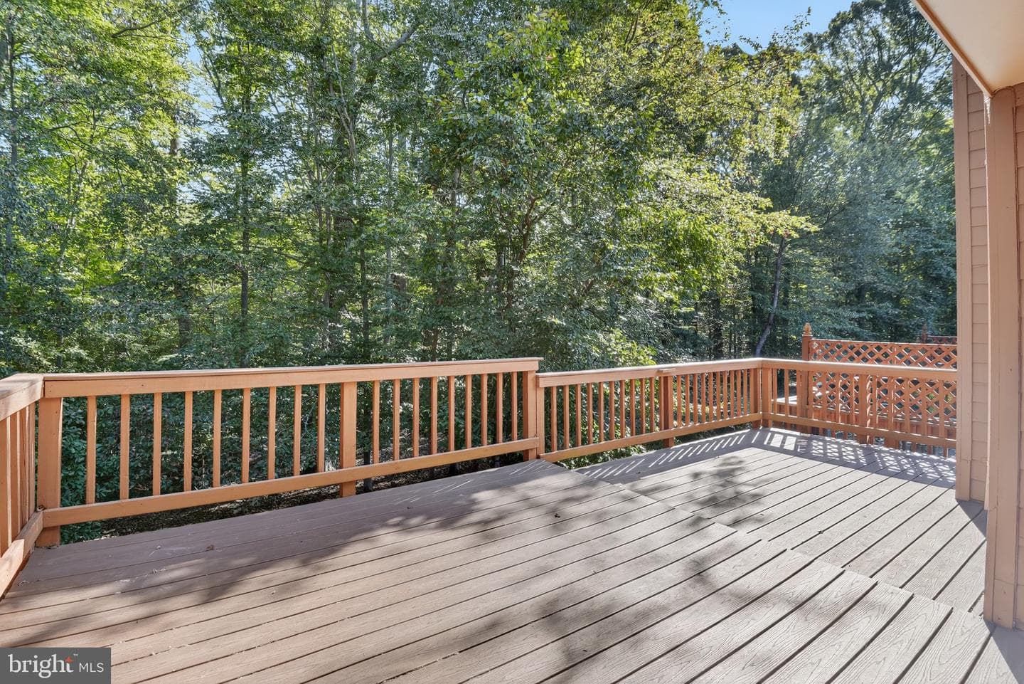 7819 Whiterim Terrace photo 31