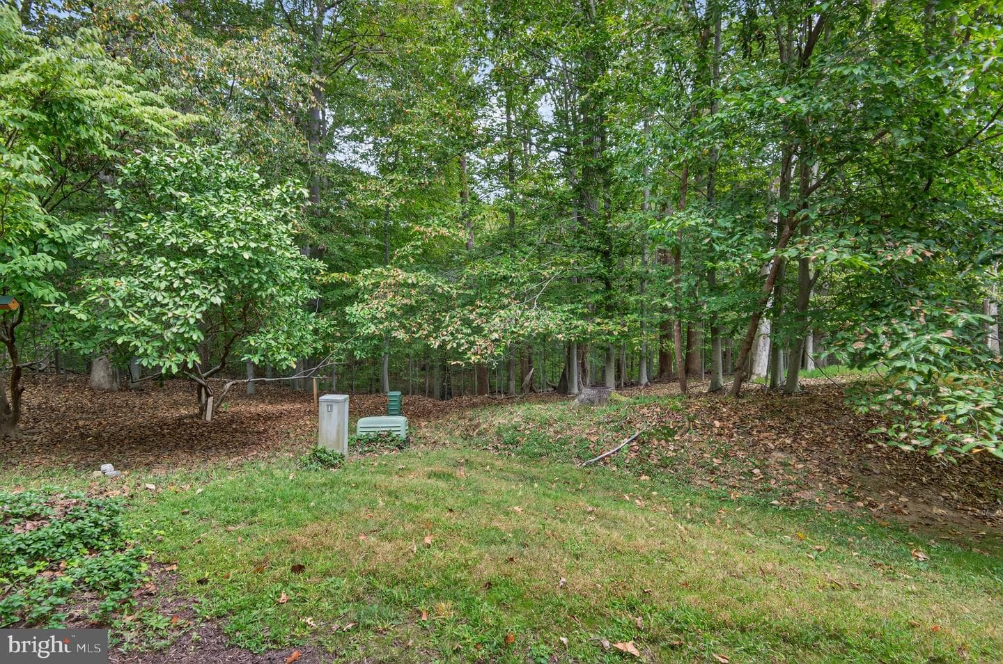 7819 Whiterim Terrace photo 36