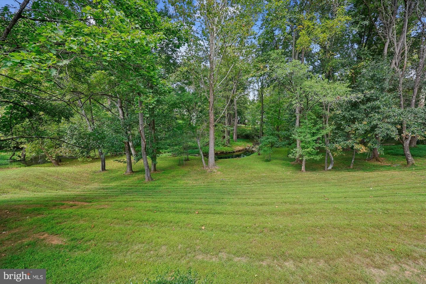 9825 Korman Court photo 44