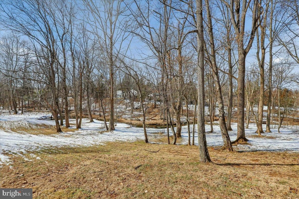 9825 Korman Court photo 52