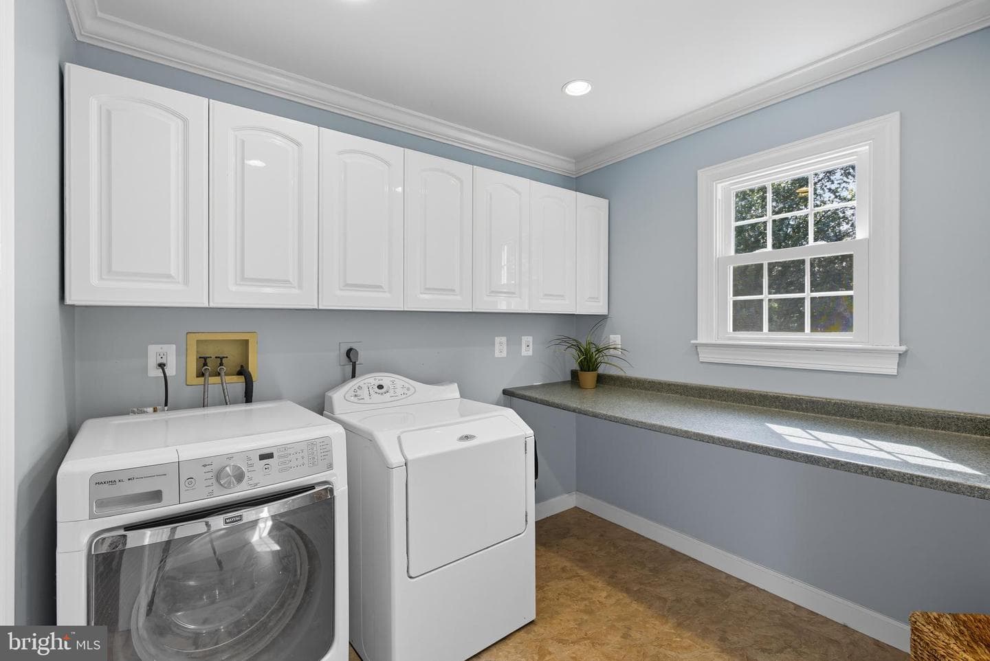 11120 Rutledge Drive photo 44