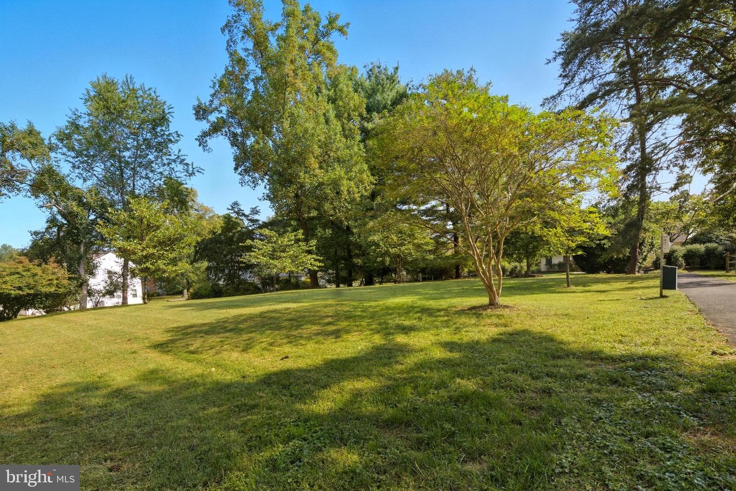 11120 Rutledge Drive photo 63