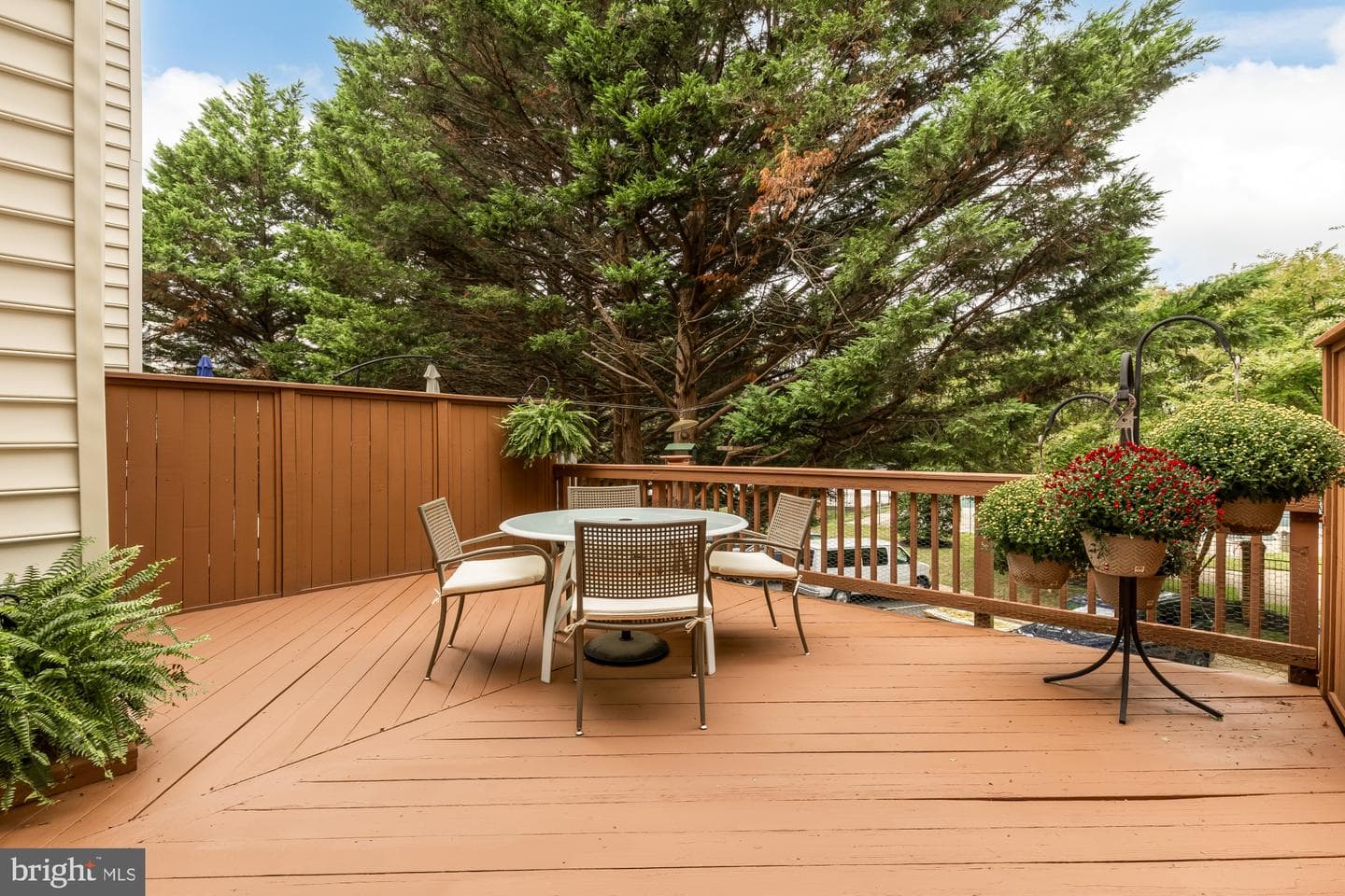 5430 Whitley Park Terrace photo 13