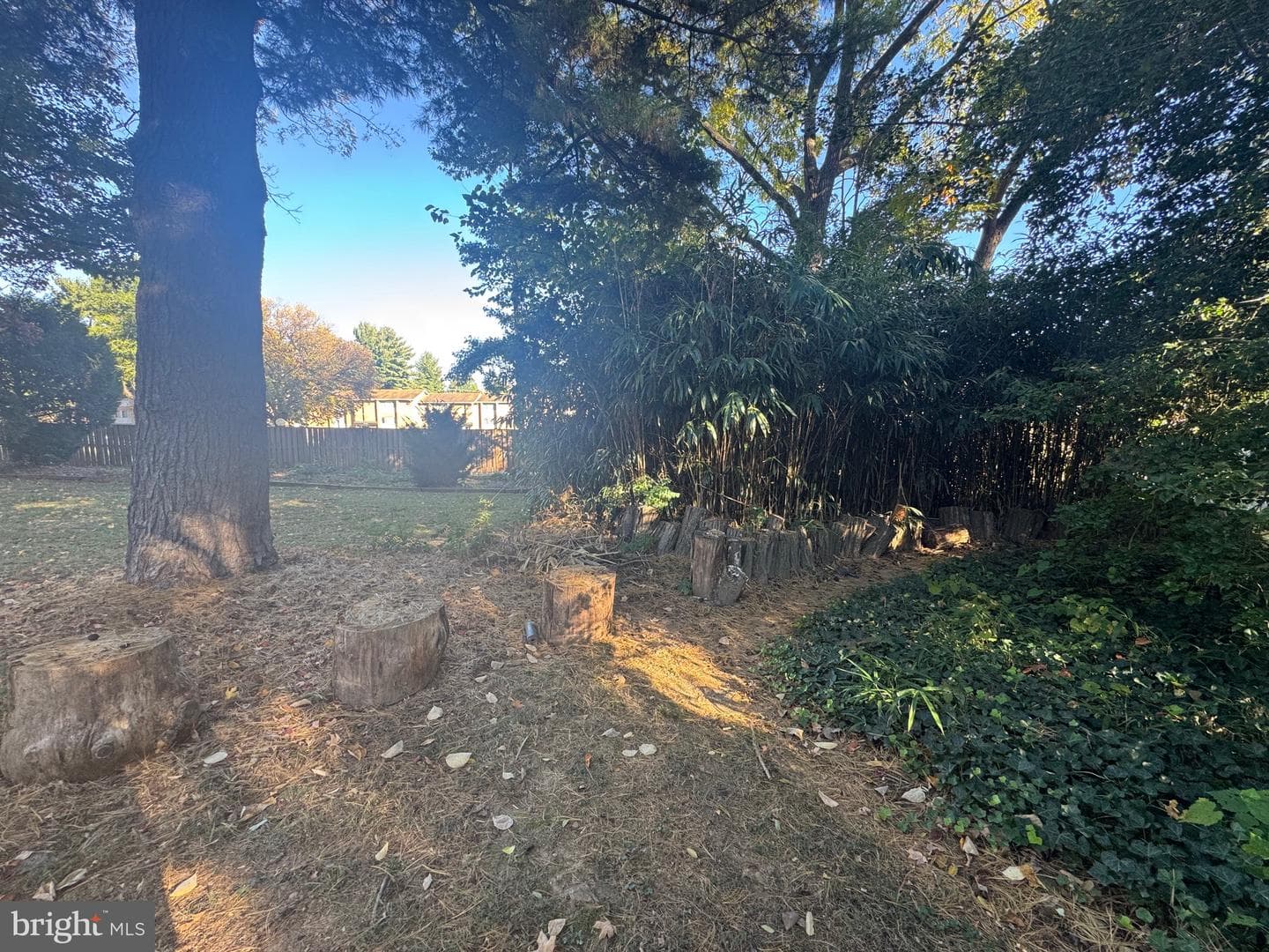 17100 King James Way photo 14