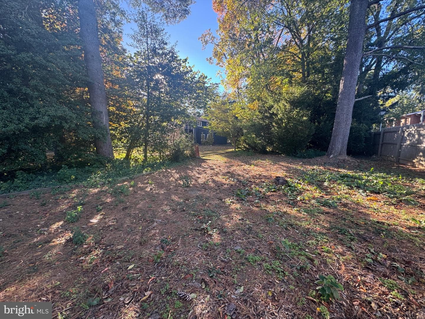 17100 King James Way photo 25