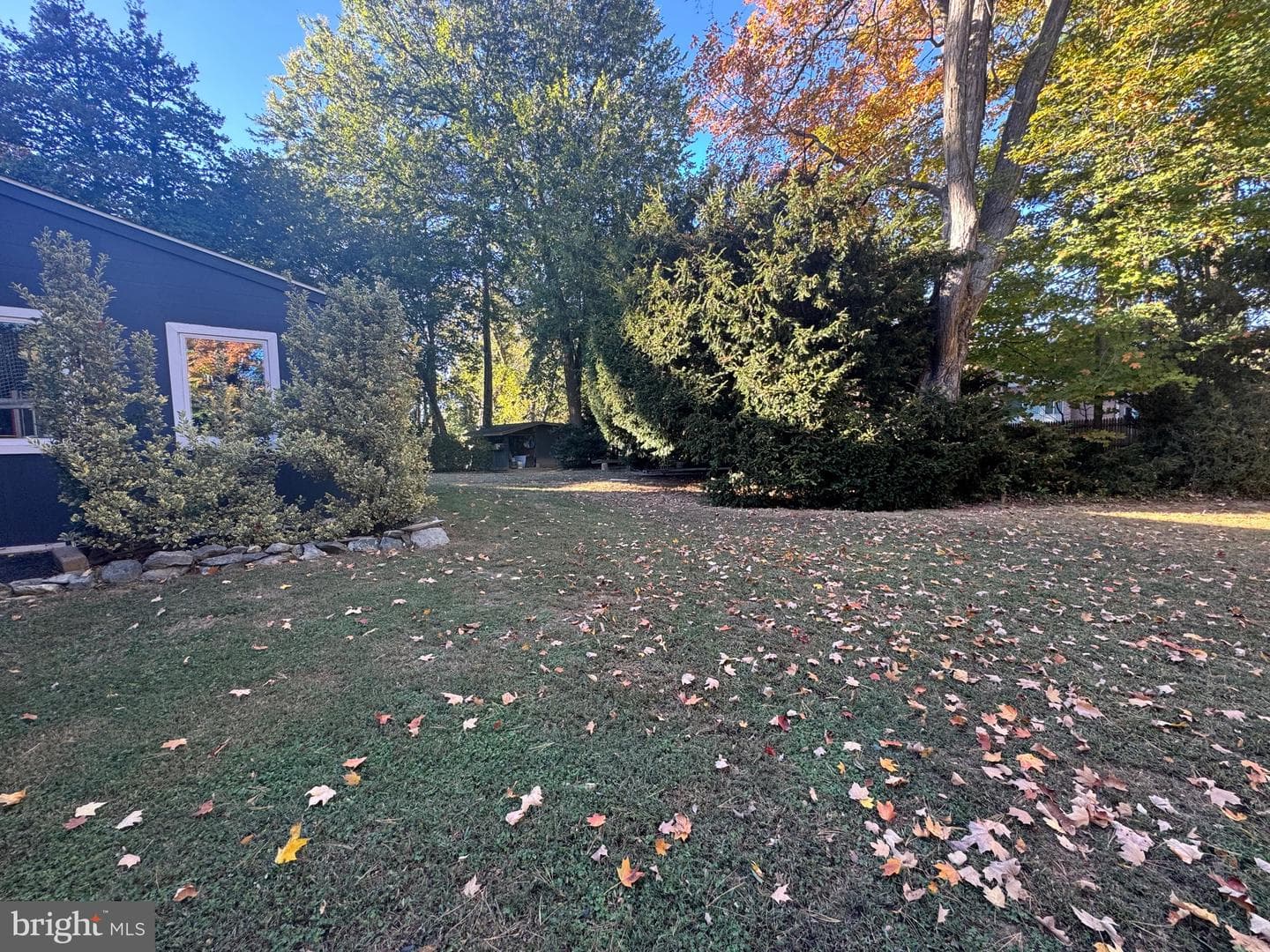 17100 King James Way photo 28