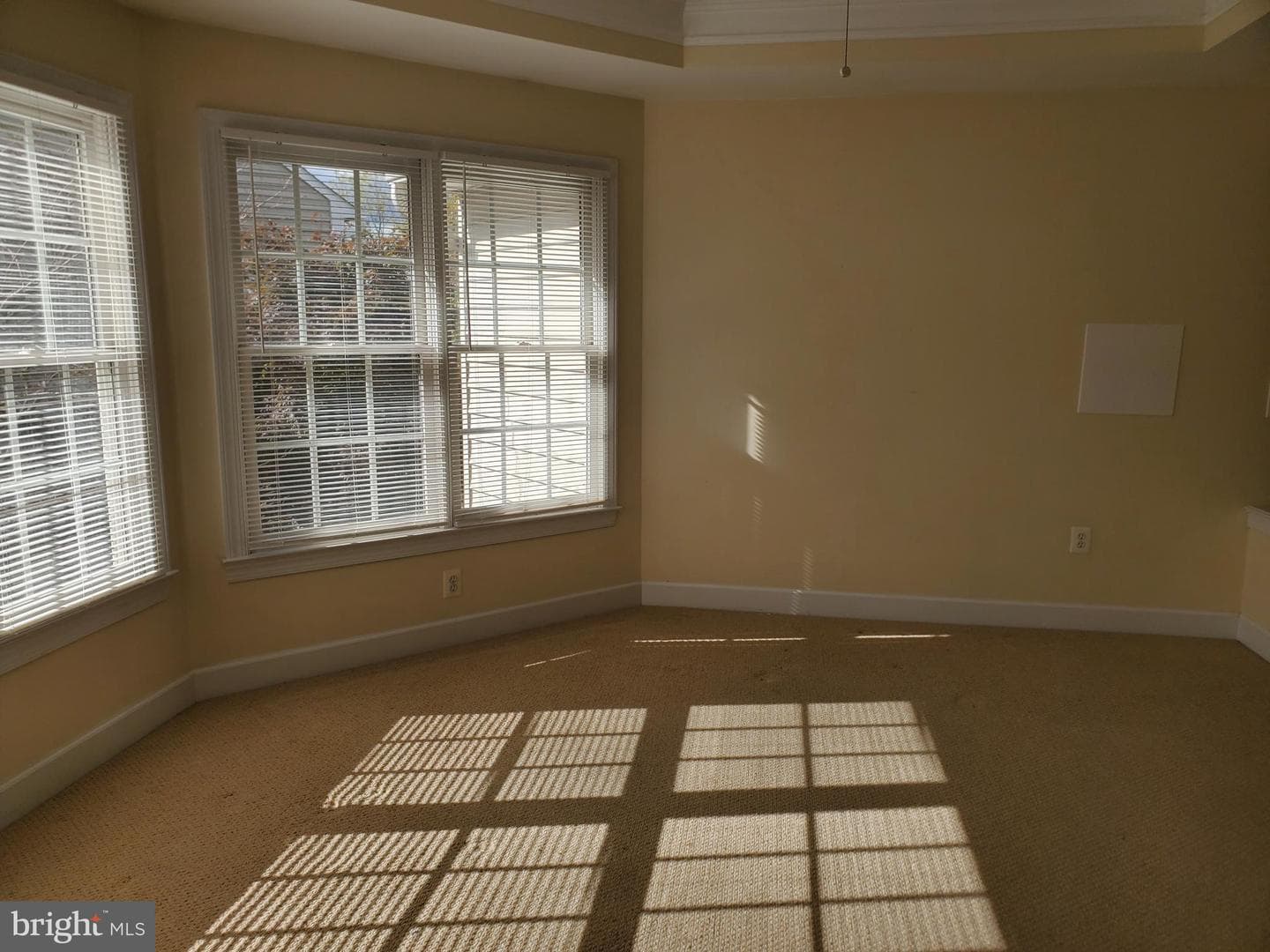 14418 Ashleigh Greene Road photo 23