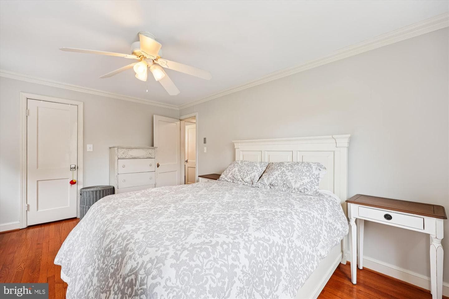 10003 Reddick Drive photo 33