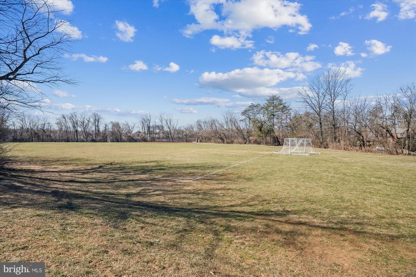 10003 Reddick Drive photo 81