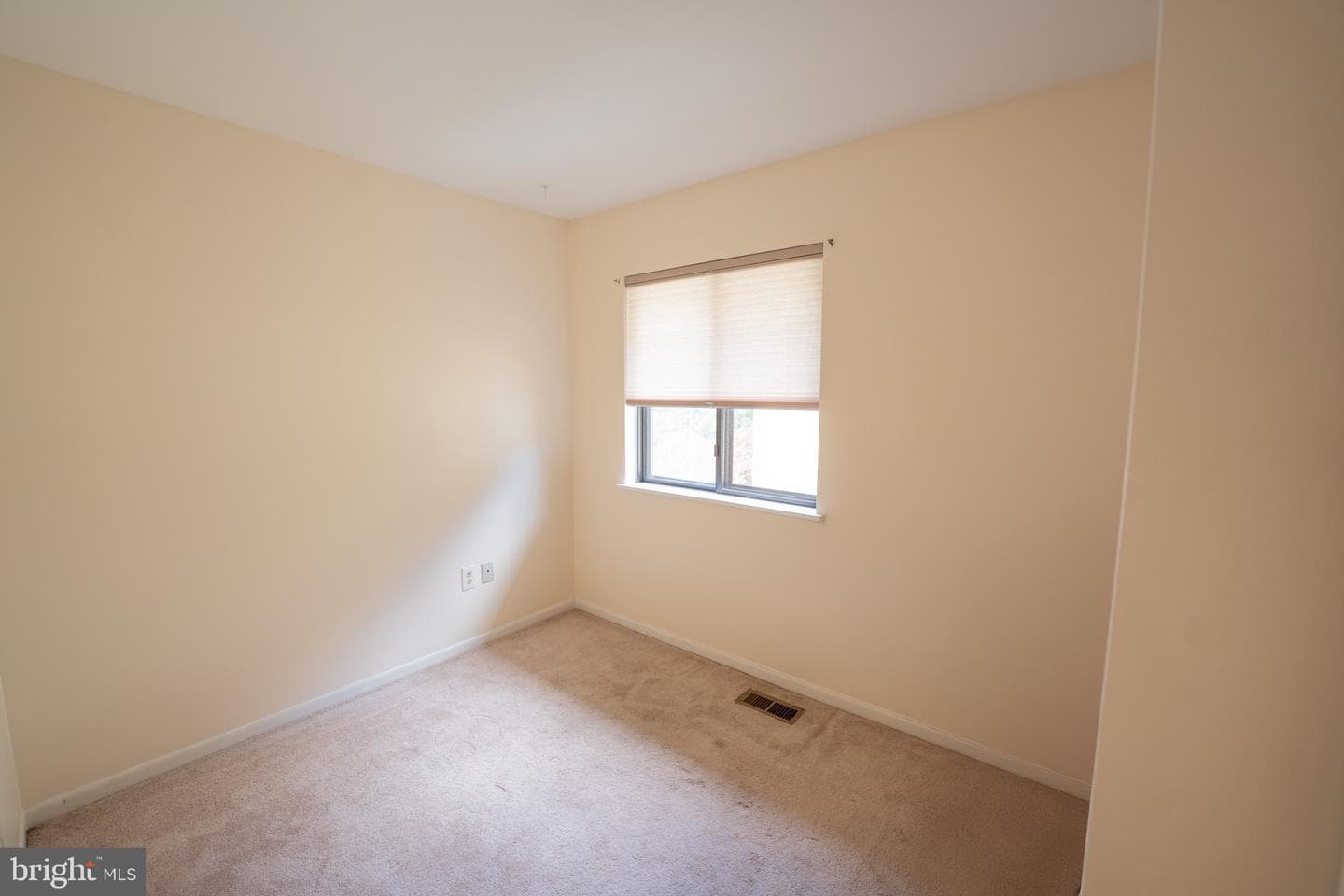 10 Brian Court #242 photo 18