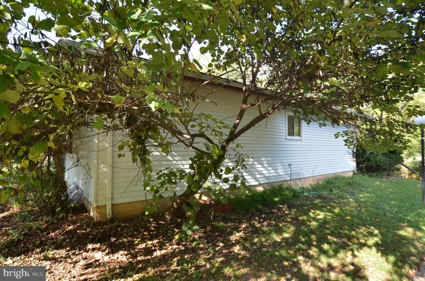36 Steven Court #211 photo 3