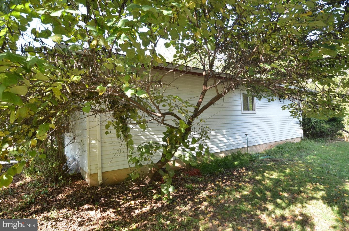 36 Steven Court #211 photo 4