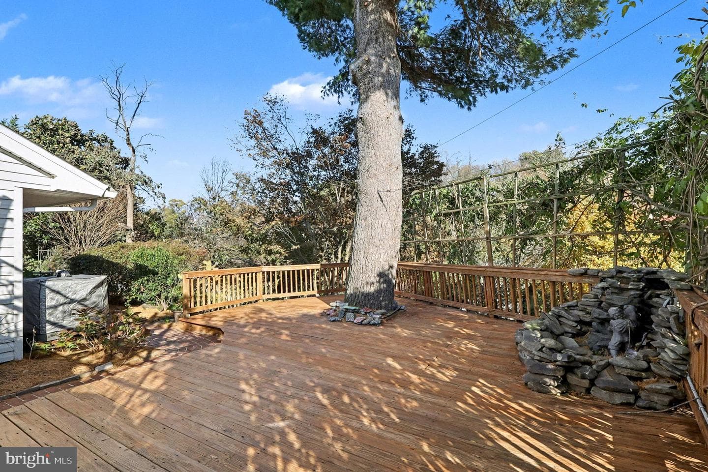 13805 Rippling Brook Drive photo 34