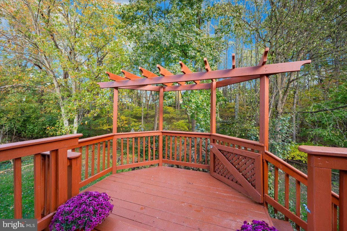 23605 Dixie Ridge Court photo 83