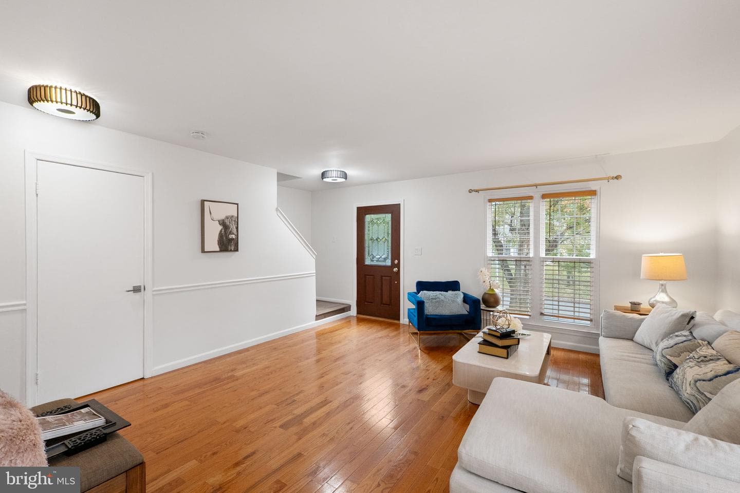 27 Filbert Court photo 5