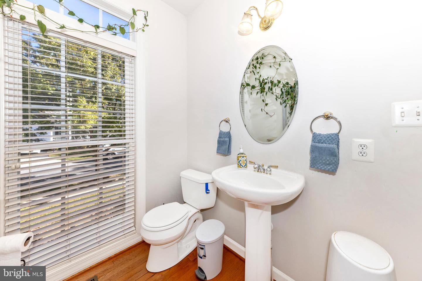 12313 Cherry Branch Dr photo 38
