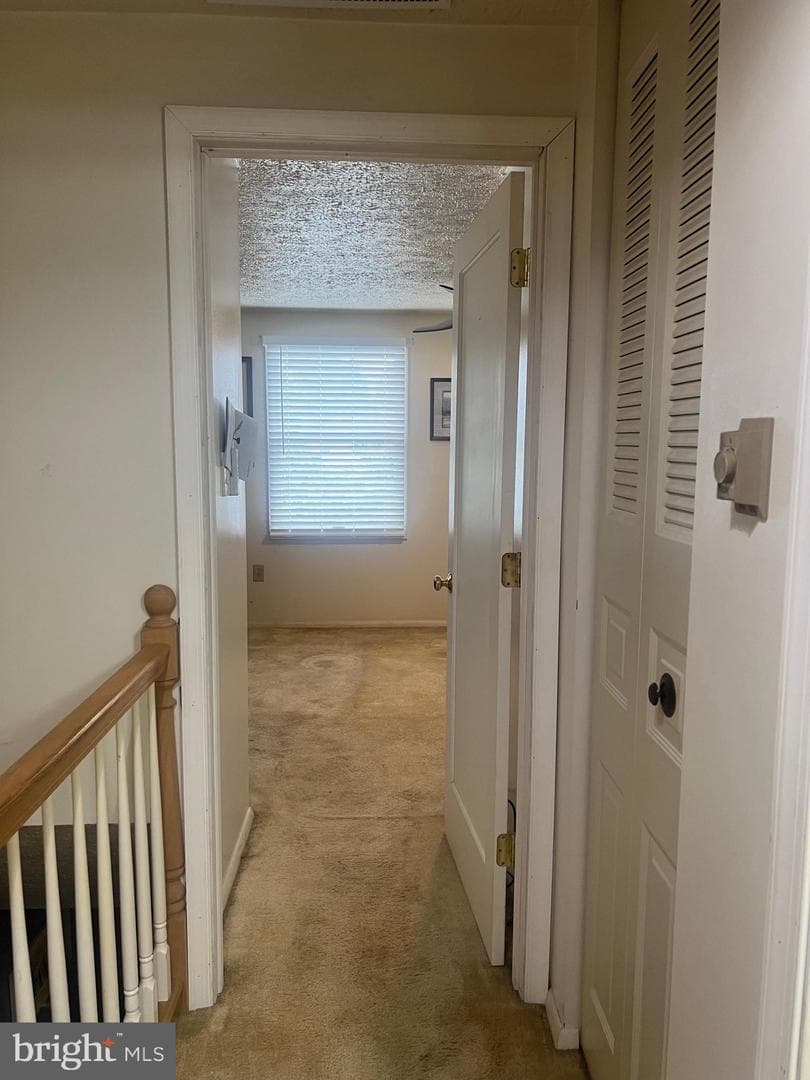 11822 Ashbrook Court photo 14