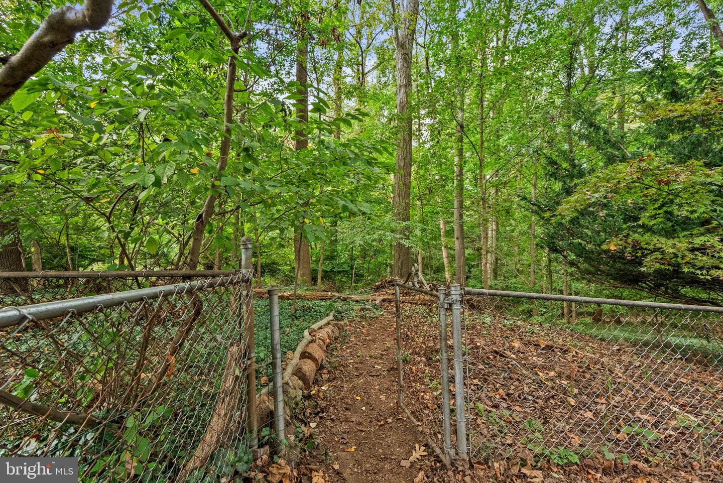 9302 Long Branch Parkway photo 37