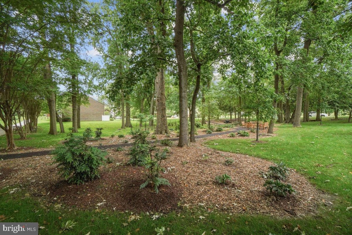 9 Fitzhugh Court #71-B photo 34