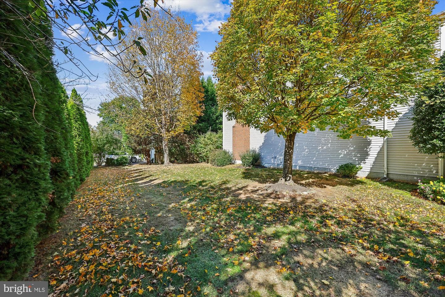 10903 Bells Ridge Drive photo 10